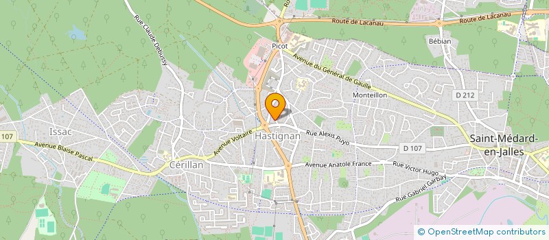 localisation de l'entreprise MADAME FLORENCE BESSON  SAINT-MEDARD-EN-JALLES