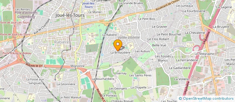 localisation de l'entreprise MADAME FLORENCE BINET  JOUE-LES-TOURS