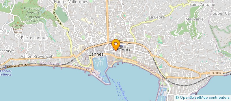 localisation de l'entreprise MADAME FLORENCE COIQUAUD  CANNES