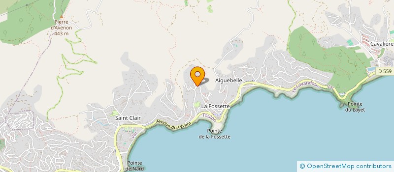 localisation de l'entreprise MADAME FLORENCE COURBIS à LE LAVANDOU