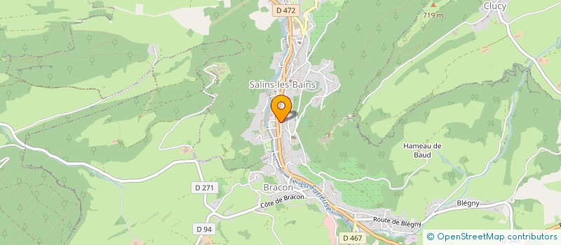 localisation de l'entreprise MADAME FLORENCE FATON  SALINS-LES-BAINS