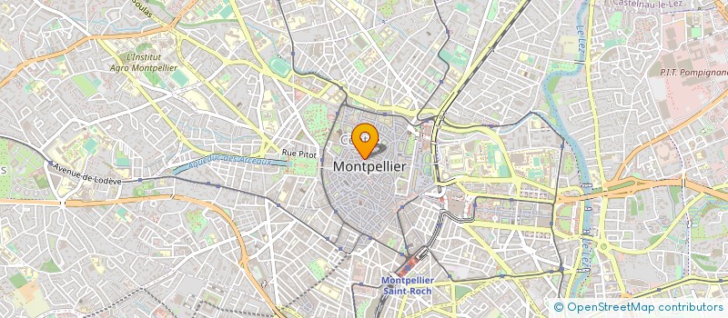 localisation de l'entreprise MADAME FLORENCE FERANDIN à MONTPELLIER