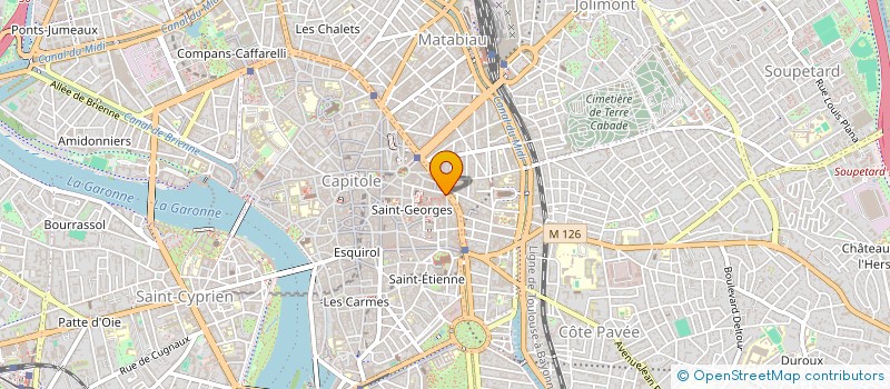 localisation de l'entreprise MADAME FLORENCE GUILLOT  TOULOUSE