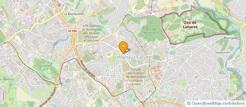 localisation de l'entreprise MADAME FLORENCE HAMMER à MONTPELLIER