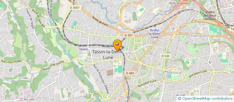 localisation de l'entreprise MADAME FLORENCE HENRIETTE DURAND  TASSIN-LA-DEMI-LUNE