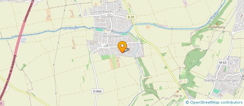 localisation de l'entreprise MADAME FLORENCE HOOGSTOEL  DINGSHEIM