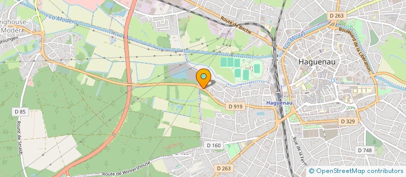 localisation de l'entreprise MADAME FLORENCE LEDIG  HAGUENAU