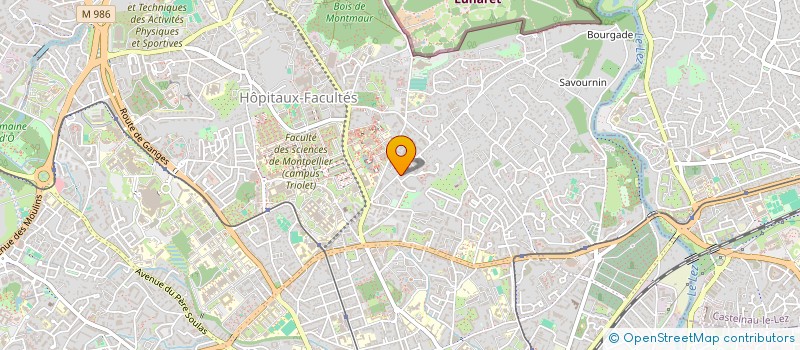 localisation de l'entreprise MADAME FLORENCE MADERN à MONTPELLIER