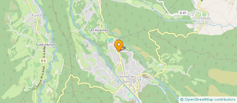 localisation de l'entreprise MADAME FLORENCE MAGNERES à VERNET-LES-BAINS