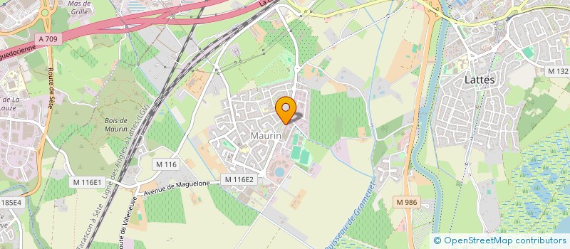 localisation de l'entreprise MADAME FLORENCE MARTIN  VIC-LA-GARDIOLE