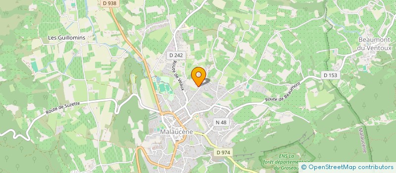 localisation de l'entreprise MADAME FLORENCE MARTIN  MALAUCENE