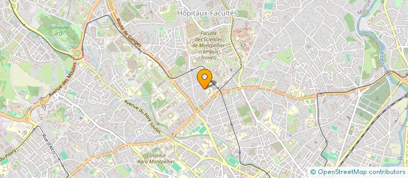 localisation de l'entreprise MADAME FLORENCE REBUZZI à MONTPELLIER