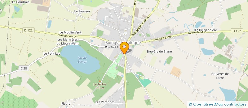 localisation de l'entreprise MADAME FLORENCE ROUGE-BISCAY  SOINGS-EN-SOLOGNE