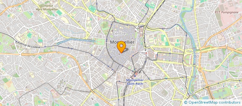 localisation de l'entreprise MADAME FLORENCE VAN HANDENHOVE à MONTPELLIER