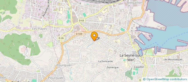 localisation de l'entreprise MADAME FLORENCE VIENNET à LA SEYNE-SUR-MER