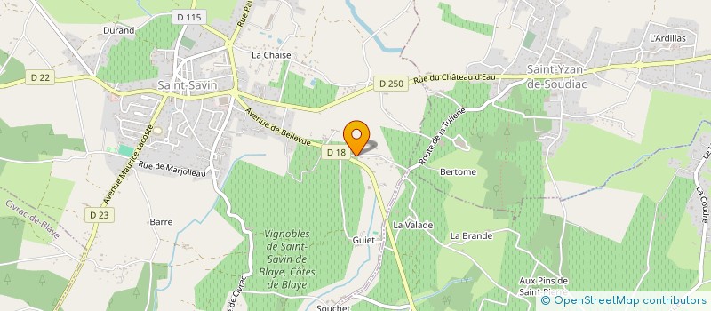 localisation de l'entreprise MADAME FLORENCE VITTADELLO  SAINT-SAVIN