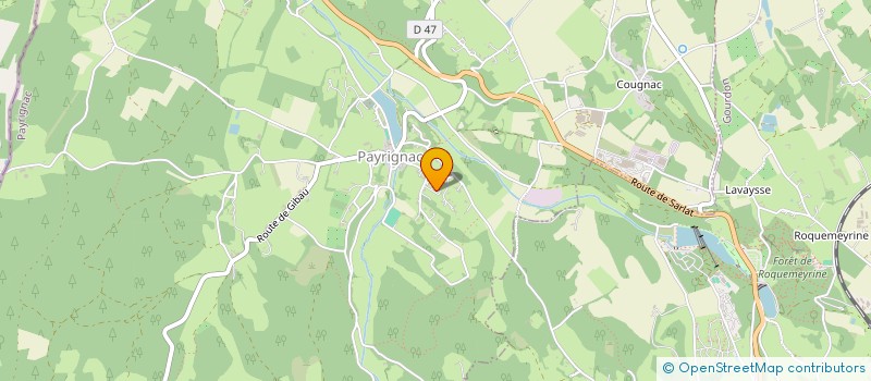 localisation de l'entreprise MADAME FLORENTINA-ANUTA TAHIS  PAYRIGNAC