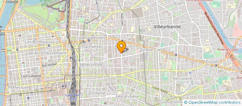 localisation de l'entreprise MADAME FLORENTINA RAFAEL à VILLEURBANNE