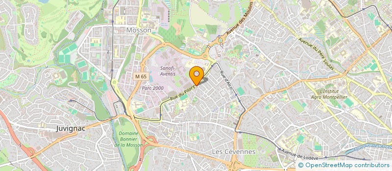 localisation de l'entreprise MADAME FLORIANE NEZ à MONTPELLIER