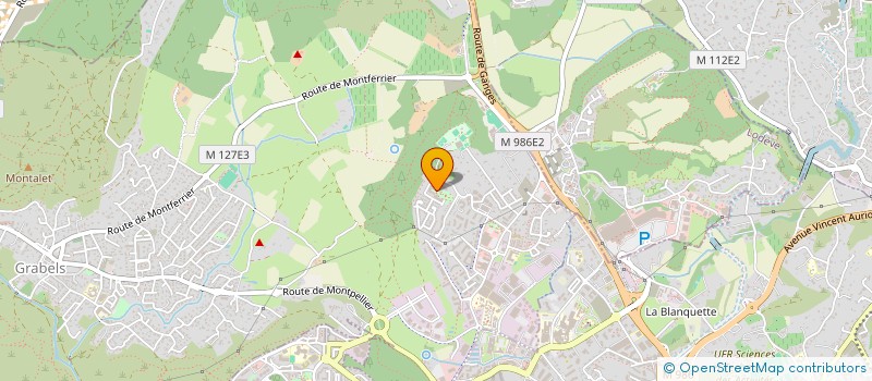 localisation de l'entreprise MADAME FLORIANNE FRANC  GRABELS