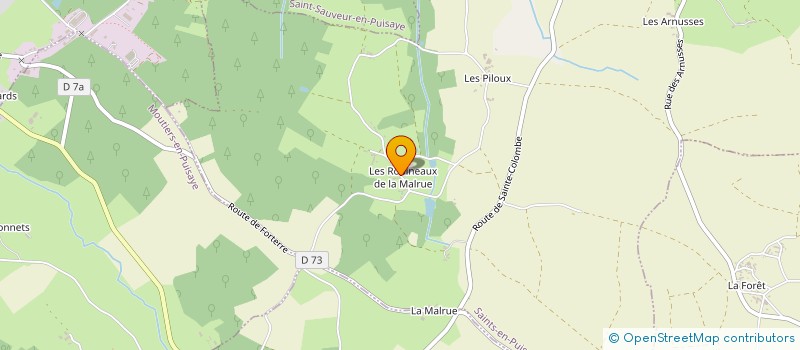 localisation de l'entreprise MADAME FLORINE DELOS à SAINTS-EN-PUISAYE