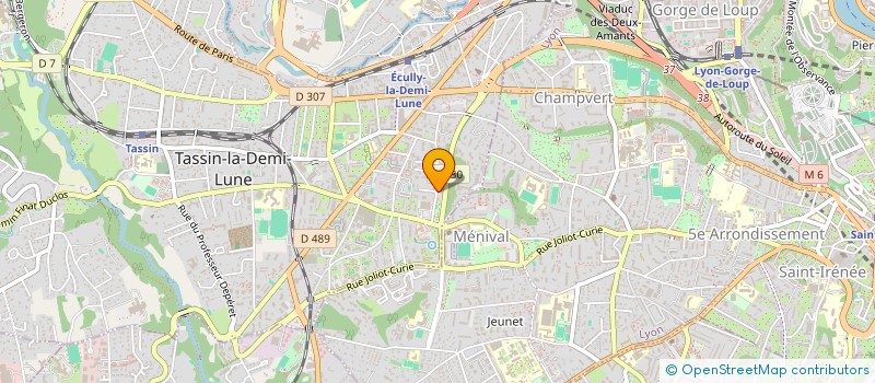 localisation de l'entreprise MADAME FLORINE NIANT  TASSIN-LA-DEMI-LUNE