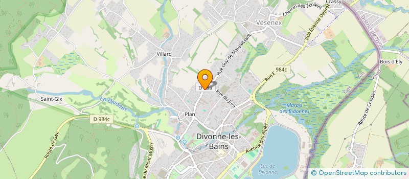 localisation de l'entreprise MADAME FLORYE RAVELLI  DIVONNE-LES-BAINS