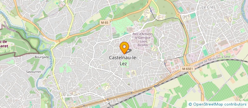 localisation de l'entreprise MADAME FOROUGH SARRAFZADEH à CASTELNAU-LE-LEZ