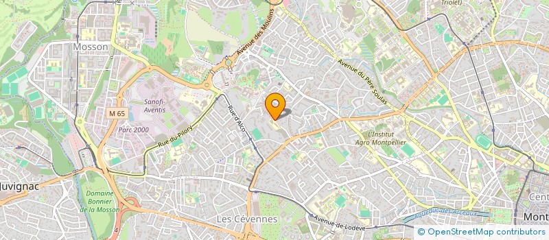 localisation de l'entreprise MADAME FOUZIA BALADI à MONTPELLIER