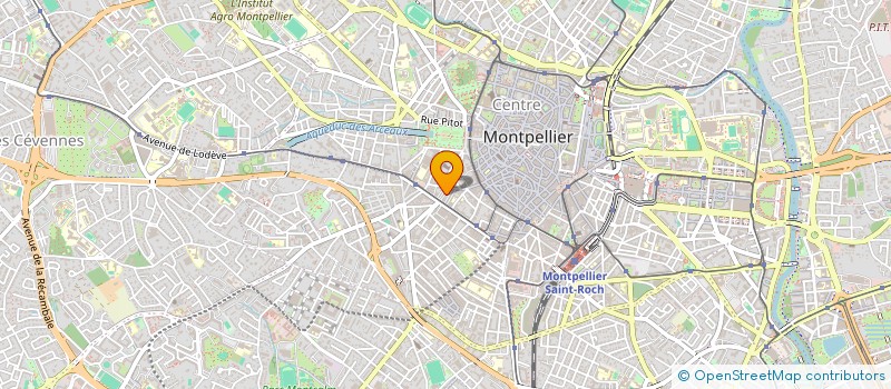 localisation de l'entreprise MADAME FOUZIA MIMOUN à MONTPELLIER