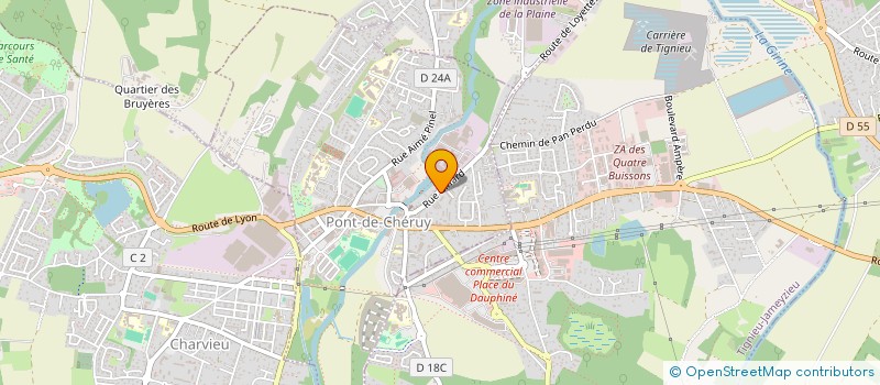 localisation de l'entreprise MADAME FRANCA OGNO  PONT-DE-CHERUY