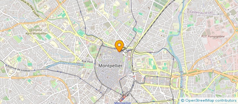 localisation de l'entreprise MADAME FRANCINE BASSETTO à MONTPELLIER
