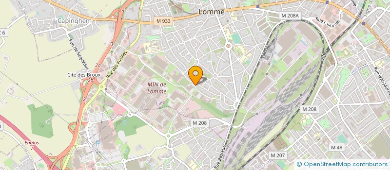 localisation de l'entreprise MADAME FRANCINE LEBORGNE à LILLE