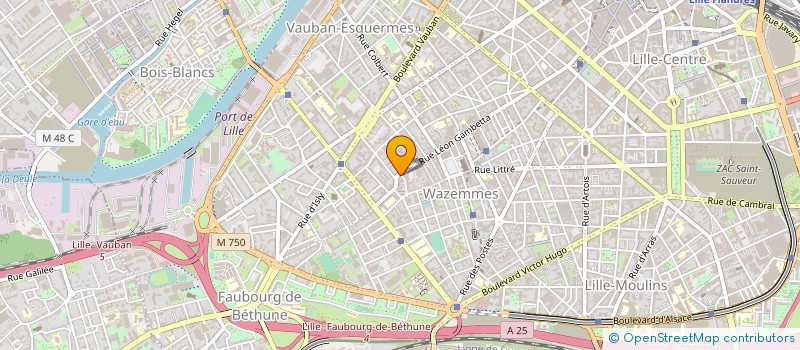 localisation de l'entreprise MADAME FRANCINE LEPINE à LILLE