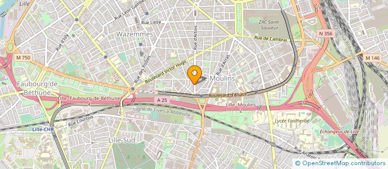 localisation de l'entreprise MADAME FRANCINE MIMOUN GILBERTE à LILLE