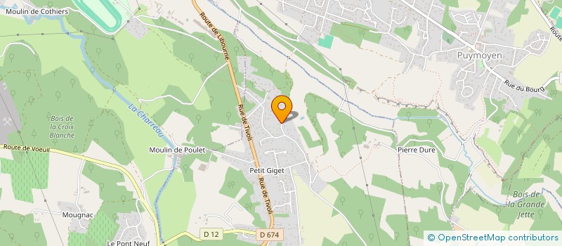 localisation de l'entreprise MADAME FRANCINE TEXIER à VŒUIL-ET-GIGET