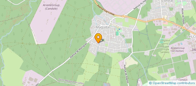 localisation de l'entreprise MADAME FRANCISCA BUQUET  SAINT-MEDARD-EN-JALLES