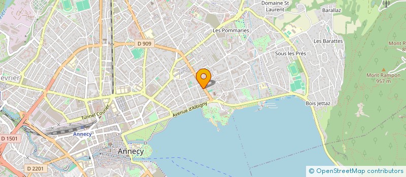 localisation de l'entreprise MADAME FRANCISCA DRIESENS à ANNECY