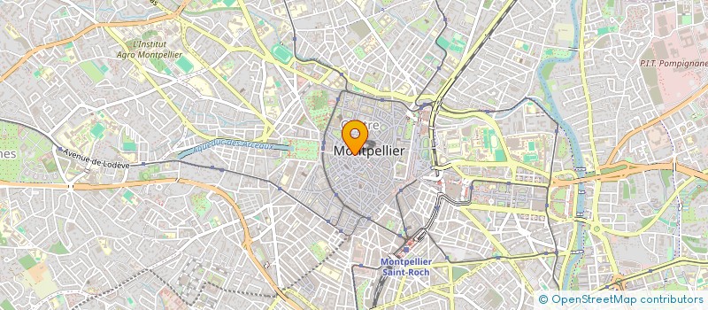 localisation de l'entreprise MADAME FRANCISCA ROMERA LOPEZ à MONTPELLIER