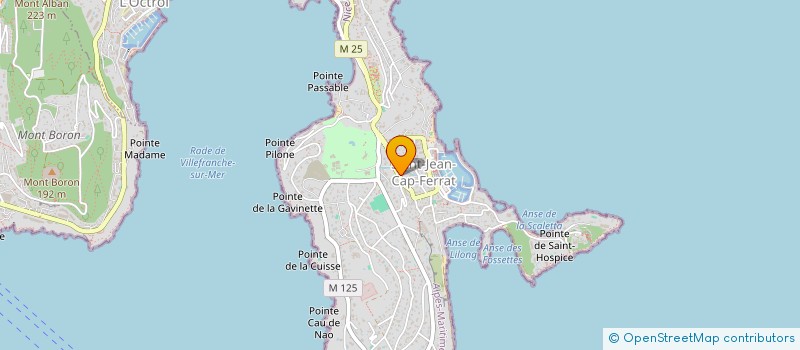 localisation de l'entreprise MADAME FRANCOISE BENAROUS  SAINT-JEAN-CAP-FERRAT