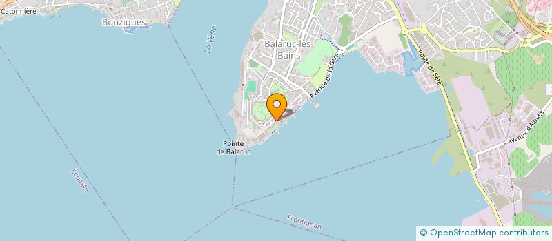 localisation de l'entreprise MADAME FRANCOISE BOURRET  BALARUC-LES-BAINS