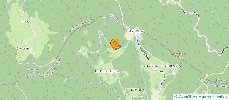 localisation de l'entreprise MADAME FRANCOISE CHAMPAGNON  COURS