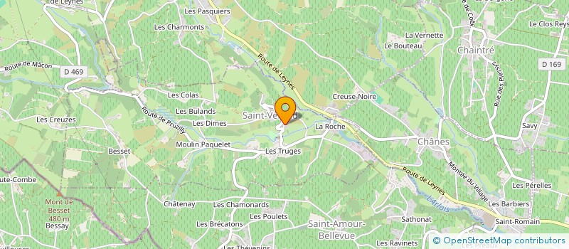 localisation de l'entreprise MADAME FRANCOISE CHASSAGNON  SAINT-VERAND