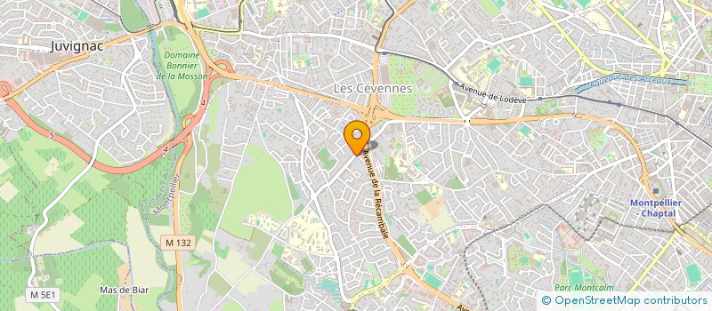 localisation de l'entreprise MADAME FRANCOISE COLLIN à MONTPELLIER