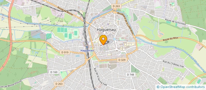 localisation de l'entreprise MADAME FRANCOISE DAUPHIN  HAGUENAU