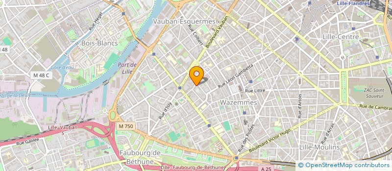 localisation de l'entreprise MADAME FRANCOISE DELFOSSE à LILLE