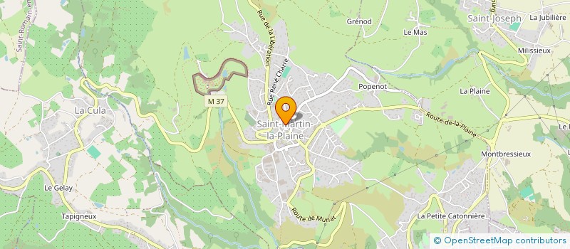 localisation de l'entreprise MADAME FRANCOISE DESARMAUX  SAINT-MARTIN-LA-PLAINE