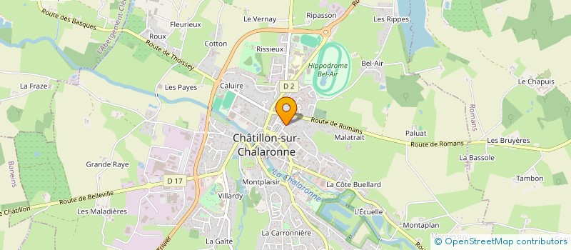 localisation de l'entreprise MADAME FRANCOISE DOUSSON à CHATILLON-SUR-CHALARONNE
