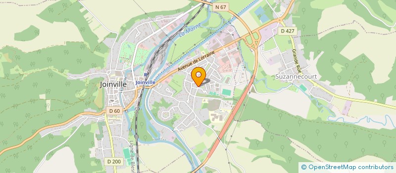 localisation de l'entreprise MADAME FRANCOISE DUCCESCHI à JOINVILLE
