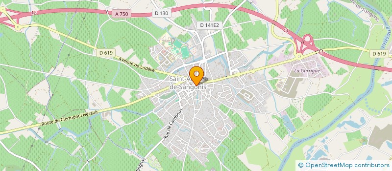 localisation de l'entreprise MADAME FRANCOISE FLAVARD à SAINT-ANDRE-DE-SANGONIS